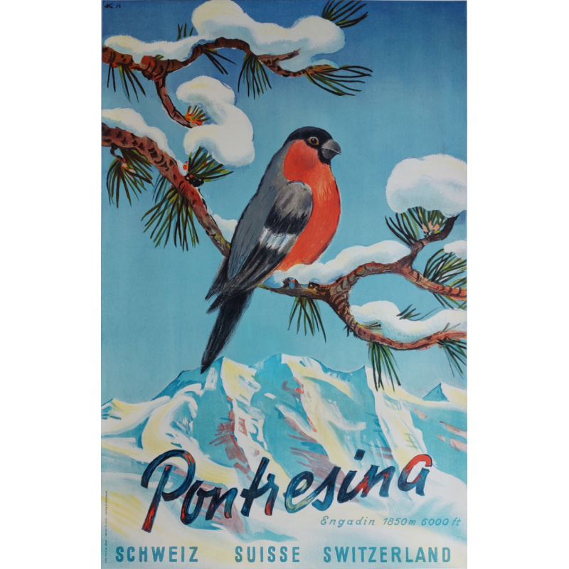 Affiche ancienne originale Pontresina Engadin Oiseau LIBIS